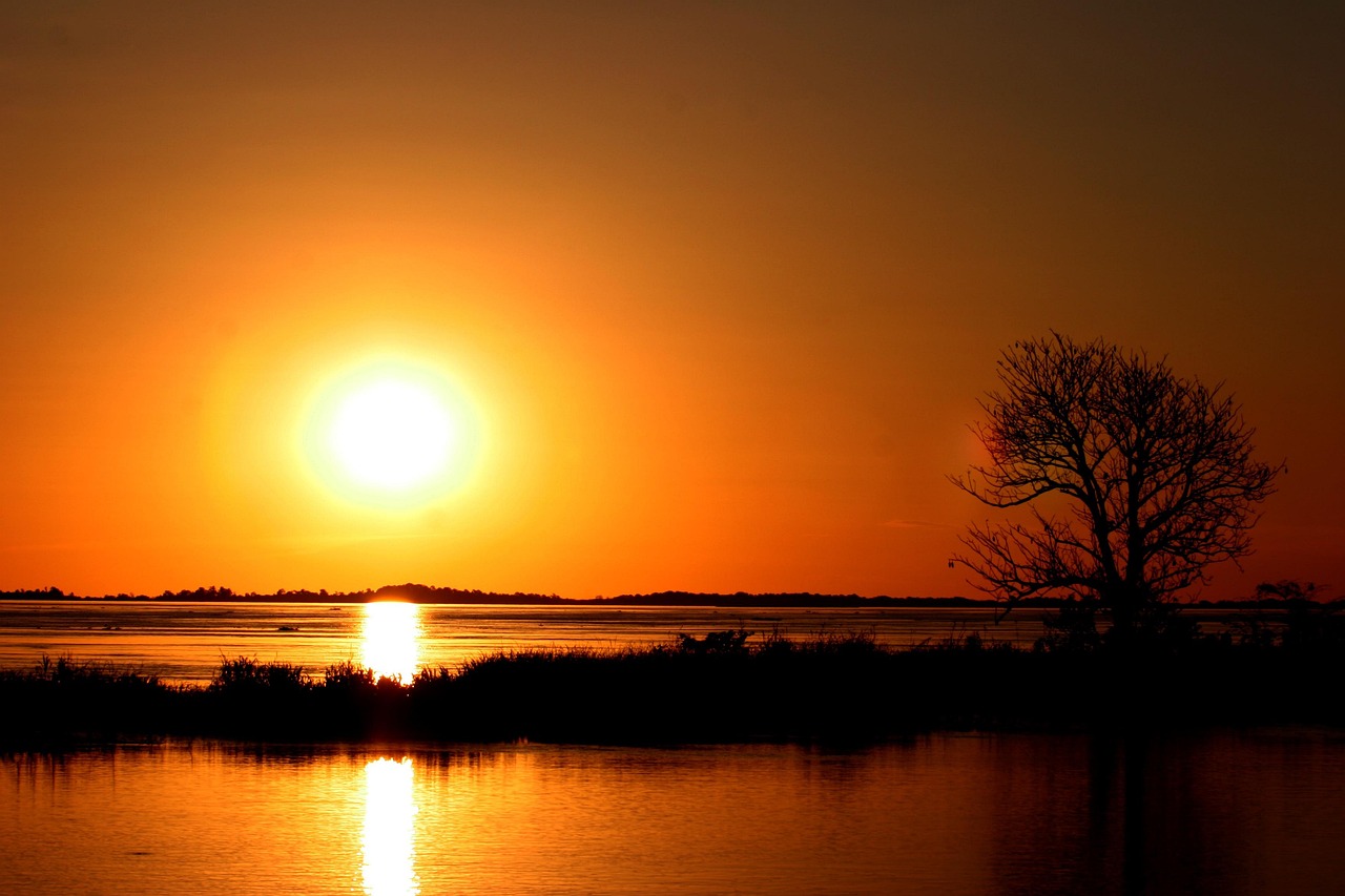 南米アマゾンの夕景の写真