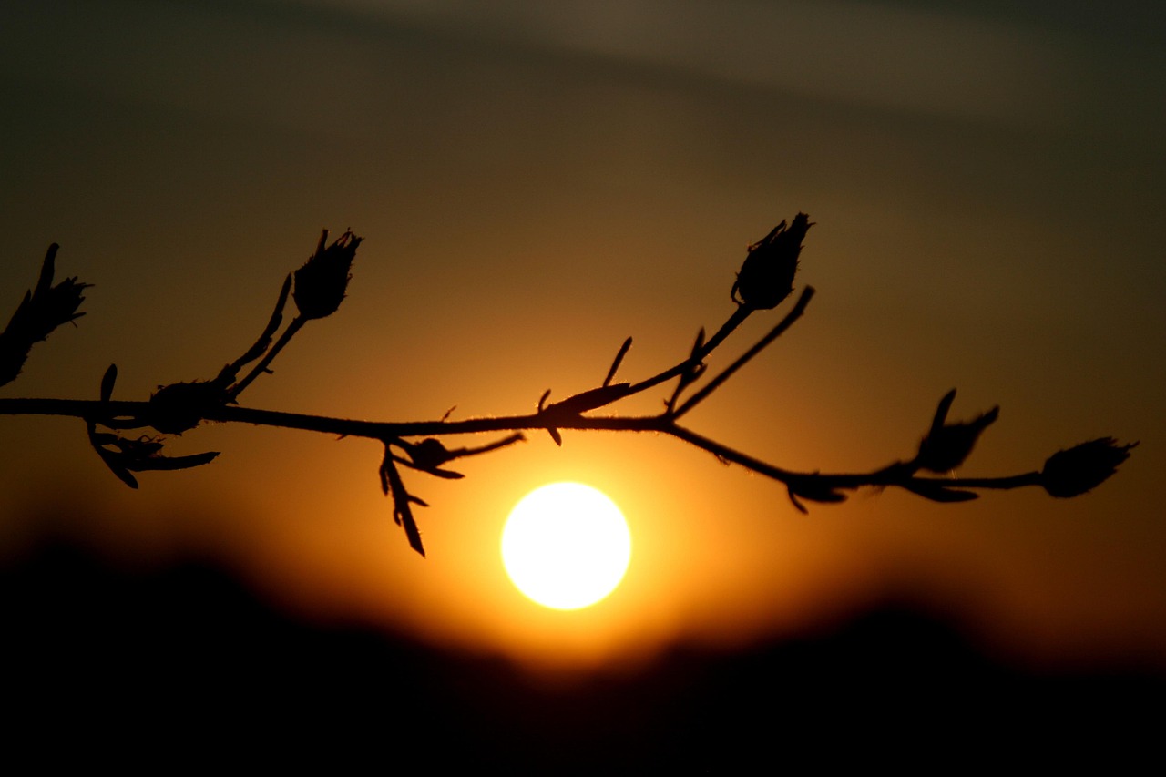 夕景