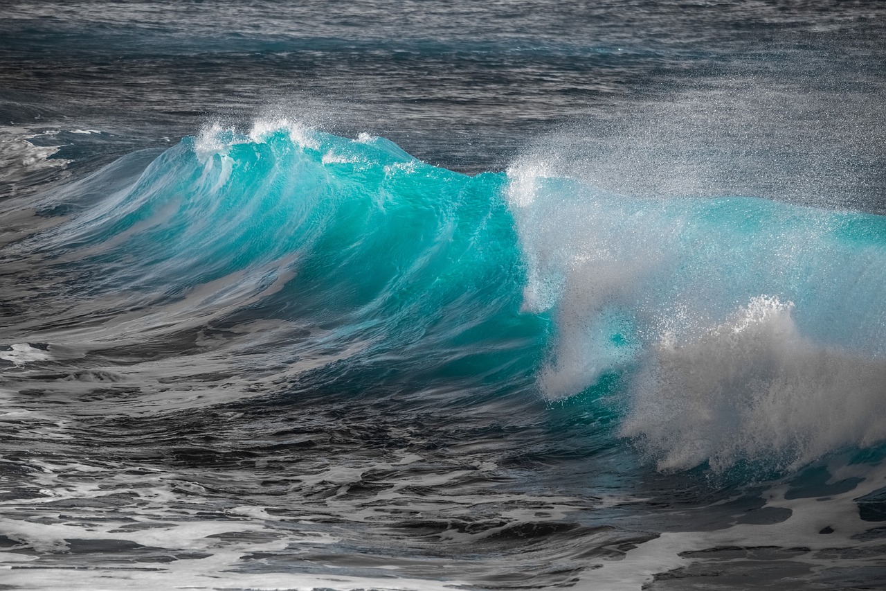 海の波